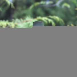 Pink Kolka with white Stone | Round neck | Latkan Glass Sleeve