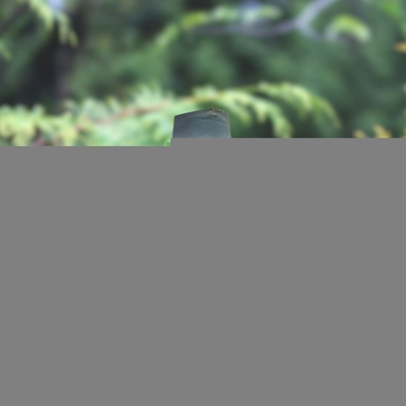 Pink Kolka with white Stone | Round neck | Latkan Glass Sleeve